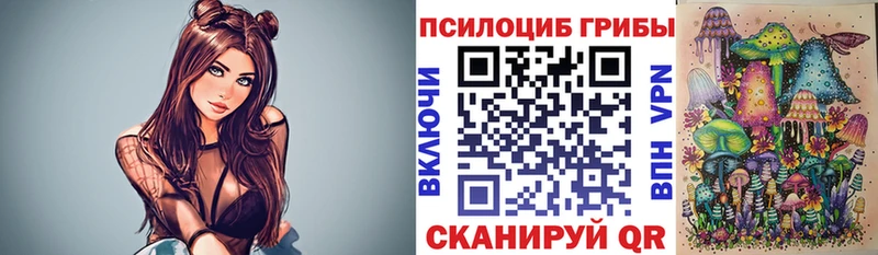 Псилоцибиновые грибы Magic Shrooms  Купить где  Певек 